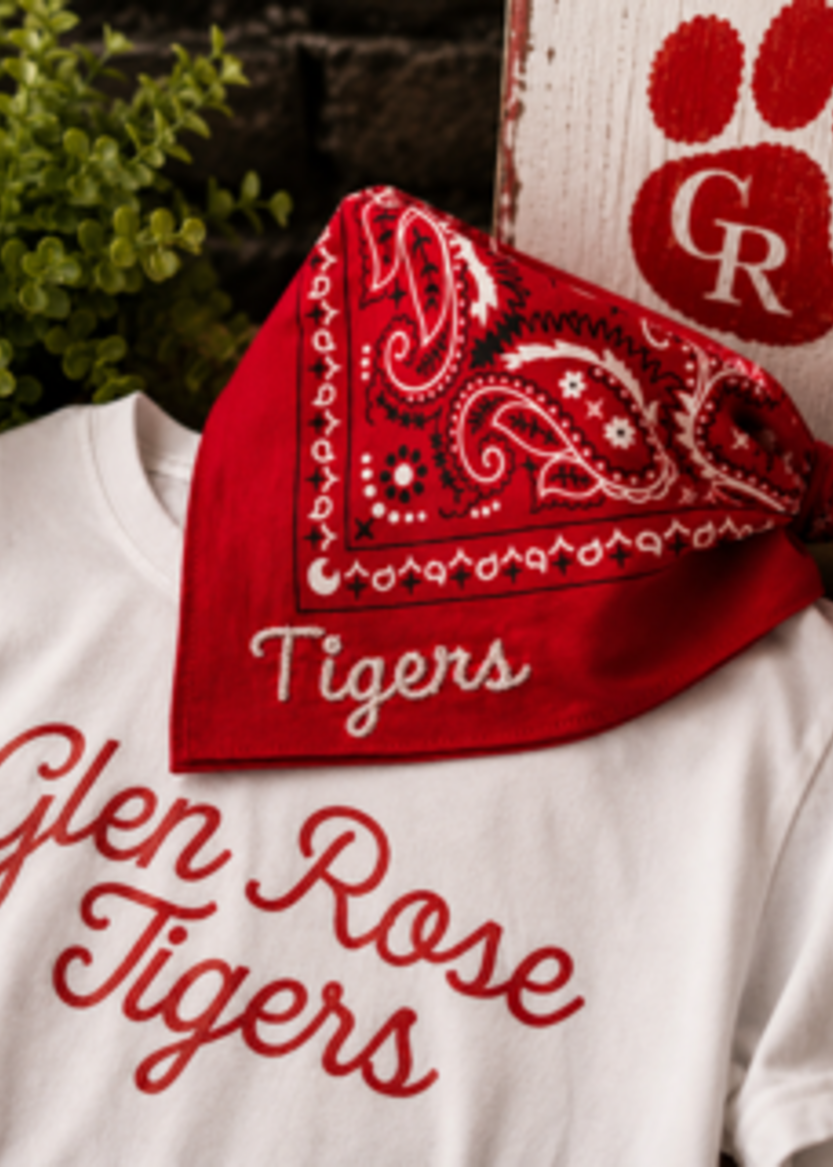 Red Embroidered Bandana