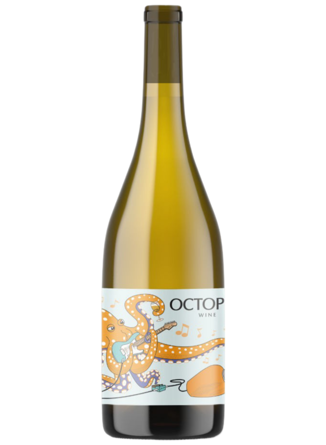 2022 Constantina Sotelo Octopus