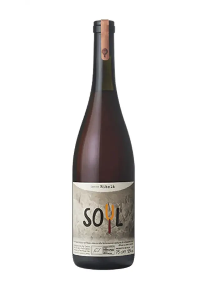 2022 Cantina Ribela' Soyl
