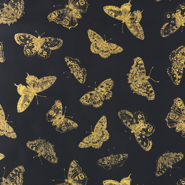 Burnell Butterfly, Black - Wallpaper Sample