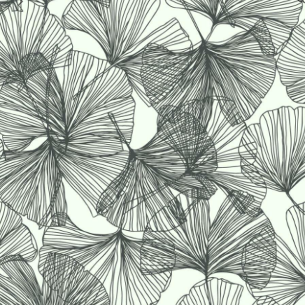 Ginkgo Leaves, Black - Wallpaper Sample