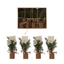 Faux Pine Tree Place Card Holders, Boxed Set of 4