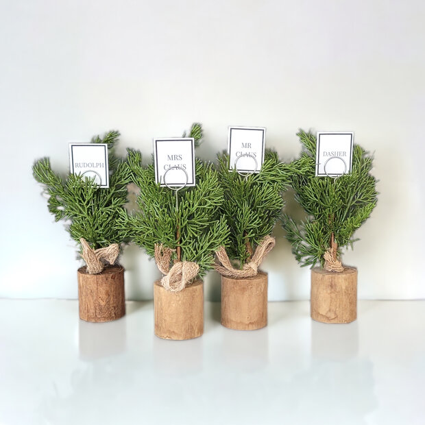 Faux Pine Tree Place Card Holders, Boxed Set of 4