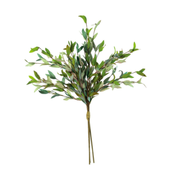 Green Branch Bundle