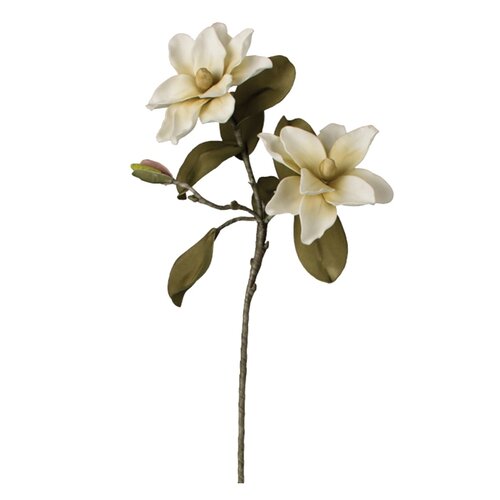 Magnolia Branch