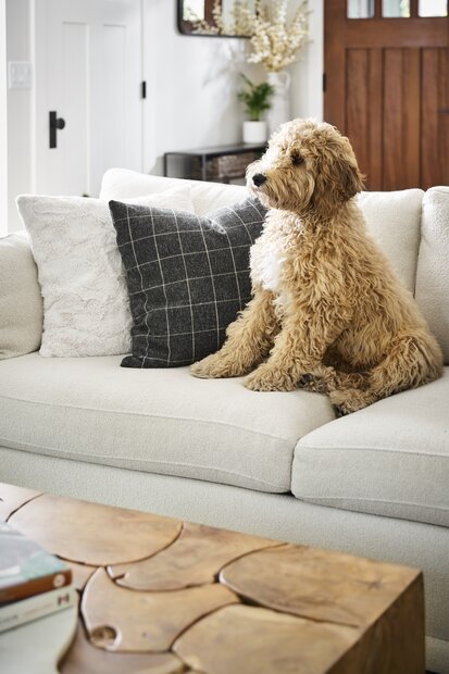 Dreamy Fur Pillow Cover