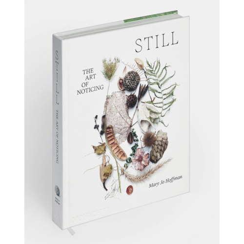 Still The Art of Noticing