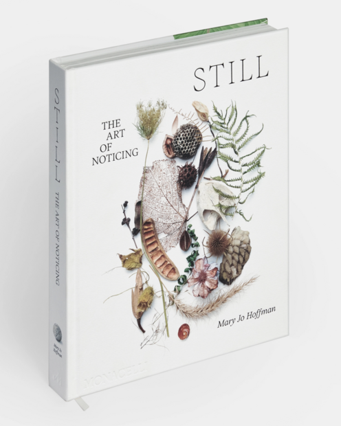 Still The Art of Noticing