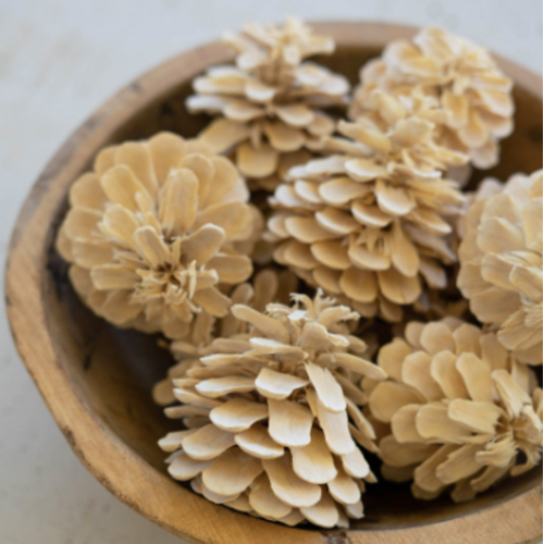 Bag of Bleached Pinecones