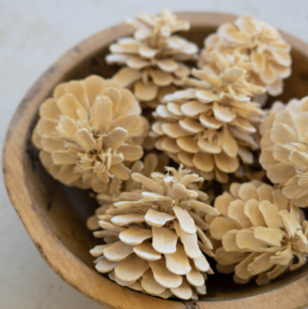 Bag of Bleached Pinecones