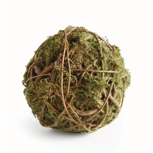 Moss Vine Orb 6"