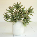 Botanica #2654 Spiky Green Sprig Branch