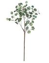 Eucalyptus Stem 64"