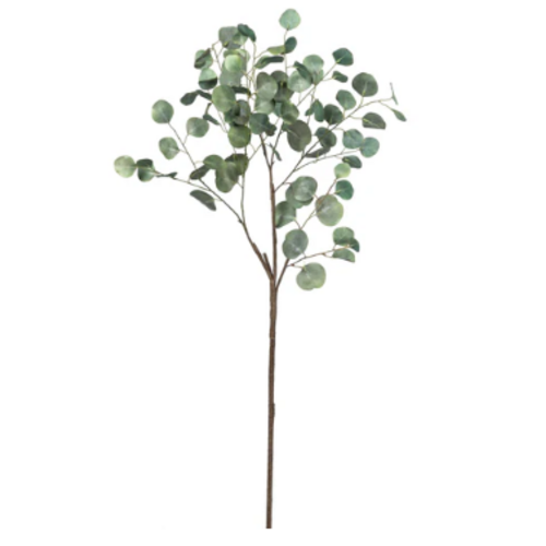 Eucalyptus Stem 64"