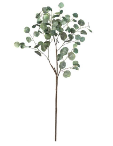 Eucalyptus Stem 64"