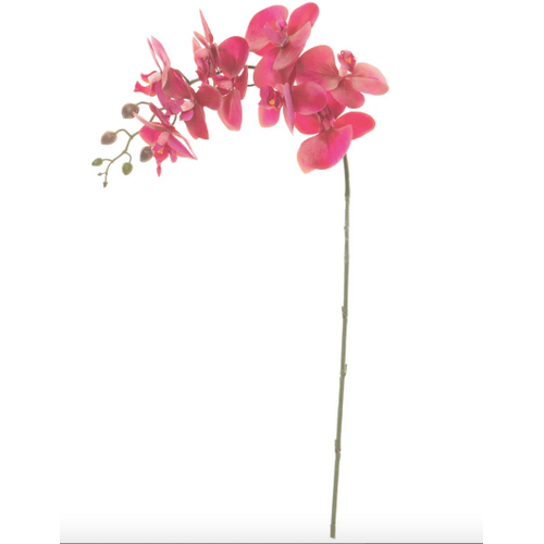 Real Touch Phalaenopsis Orchid Stem Purple
