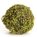 Green Berry Orb