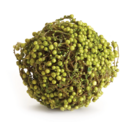 Green Berry Orb