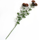 Sedum Stem