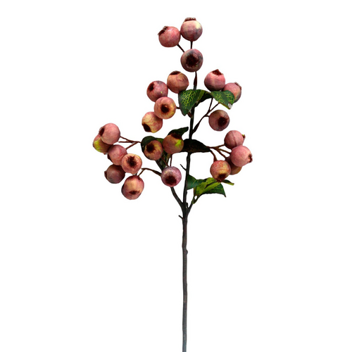 Crabapple Stem