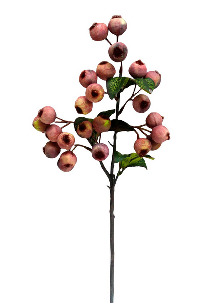 Crabapple Stem