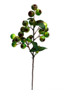 Crabapple Stem