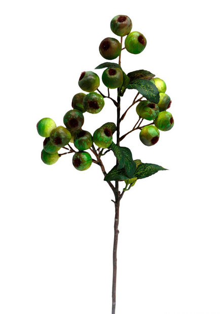 Crabapple Stem