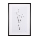 Snow Greetings Framed Art Print by PanPan