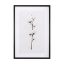 Snow Greetings Framed Art Print by PanPan