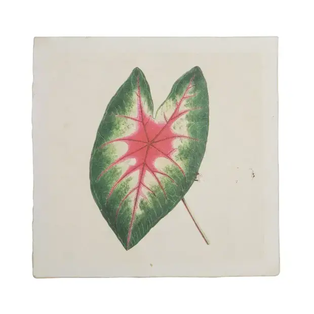 Caladium Leaf - Flora & Fauna Collection 8"x8"