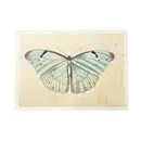 Light Blue Butterfly - Flora & Fauna Collection 16"x12"