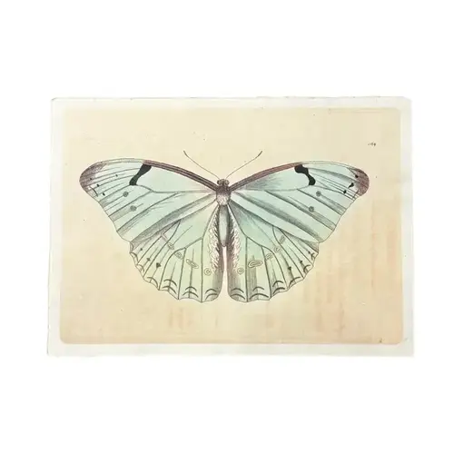 Light Blue Butterfly - Flora & Fauna Collection 16"x12"