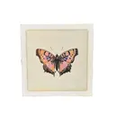 Pink Butterfly - Flora & Fauna Collection 8"x8"
