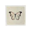 White Butterfly - Flora & Fauna Collection 8"x8"