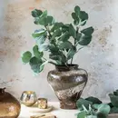 Eucalyptus Silver Dollar