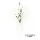 White Quince Branche