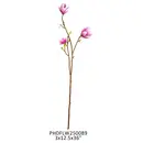 Blush Saucer Magnolia Stem