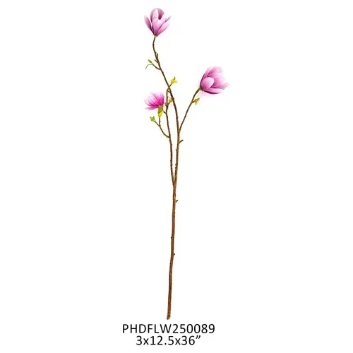 Blush Saucer Magnolia Stem