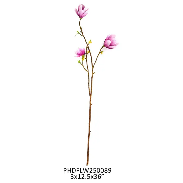 Blush Saucer Magnolia Stem