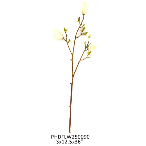 Anne Saucer Magnolia Stem