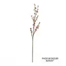 Plum Blossom Branch