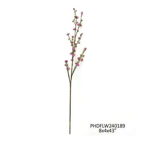 Plum Blossom Branch