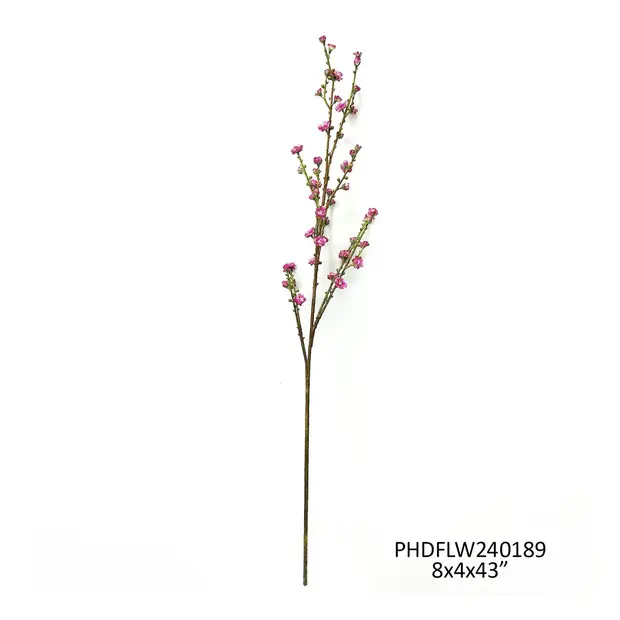 Plum Blossom Branch