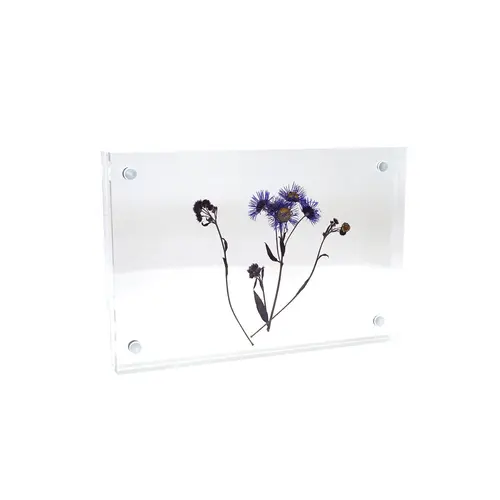 Acrylic Standing Frame 4"x6"