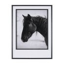 Wander by Chad Mackay