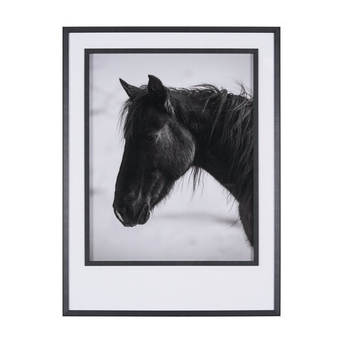 Wander by Chad Mackay