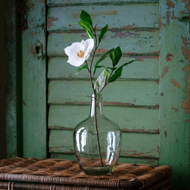 Baby Magnolia Stem