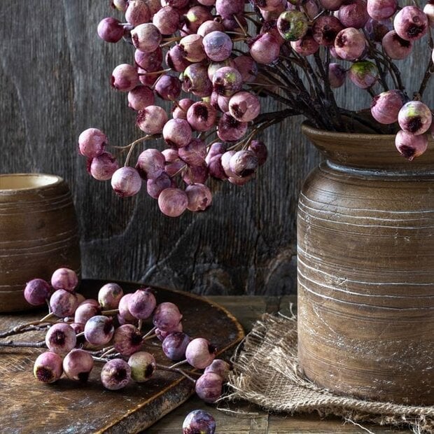 Hawthorn Berry Stem