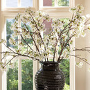 Quince Blossom Branch