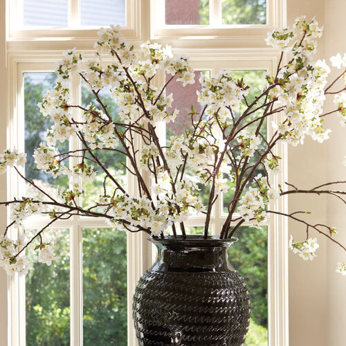 Quince Blossom Branch